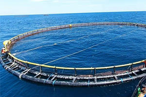 aquaculture 3